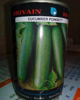 Cucumber Poinsett (GSN) – 100g