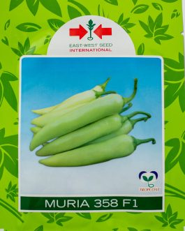 Muria 385 AF – 1000 Seed Count