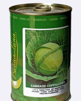 Cabbage-Copenhaghen