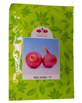 Onion Red Jewel F1 – 100g