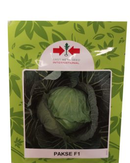 Cabbage Pakse F1 – 5g