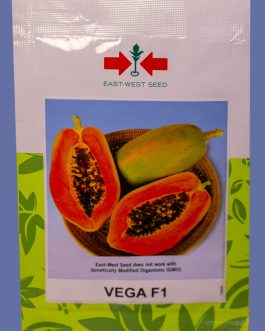 Papaya Vega F1 – 10 Seeds