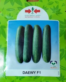 Cucumber Daewy F1 – 1000 Seed Counts