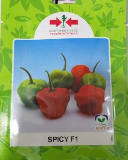 Hot Pepper Spicy – 1000 Seed Counts