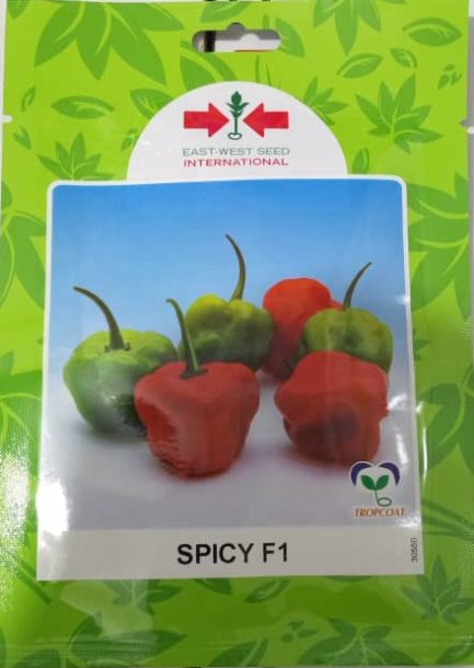 Hot Pepper Spicy - 1000 Seed Counts