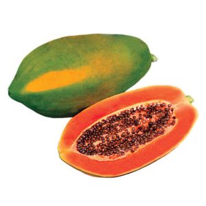 Papaya Seed African Eggplant Touba (50 g)
