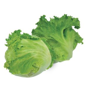 Lettuce Seeds African Eggplant Touba (50 g)