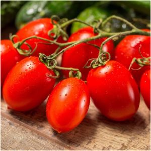 Tomato Seed African Eggplant Touba (50 g)