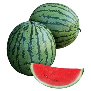 Watermelon seeds African Eggplant Touba (50 g)