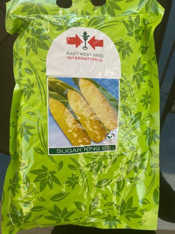 Sweet Corn Sugar King F1 (500 Gram Pouch)