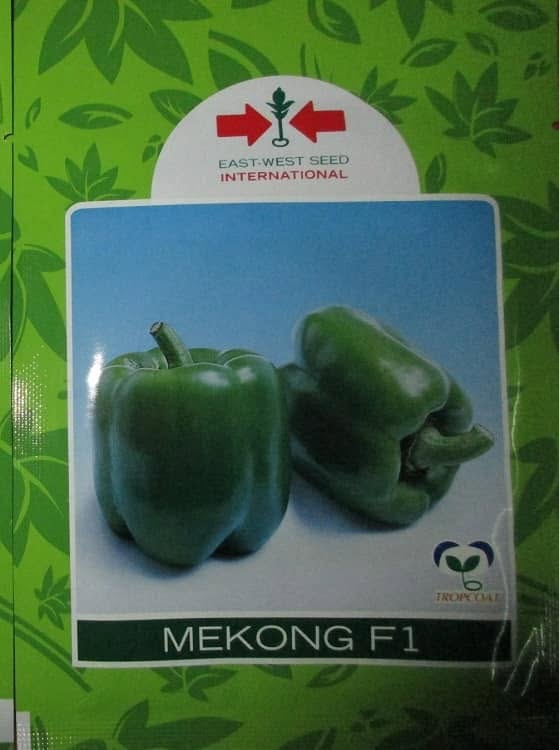 482218232_1293275258903533_8510901713008722387_n Sweet Pepper Mekong F1 (50 Gram Pouch)