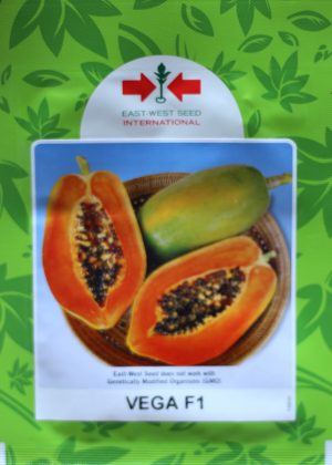 Papaya Vega F1 (10 Seed Pouch)