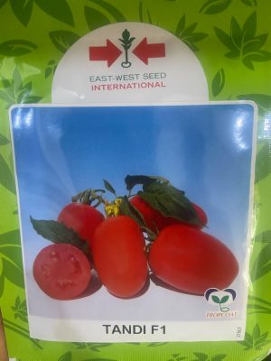 Tomato Tandi F1 (10 Gram Pouch)