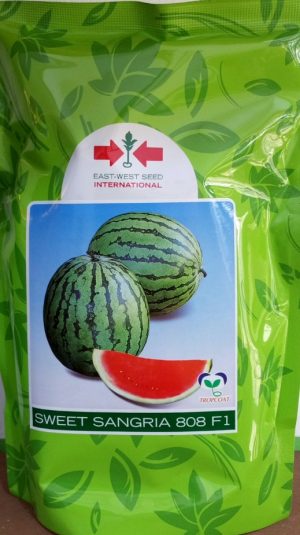 Watermelon Sweet Sangria F1 (250 Gram Pouch)