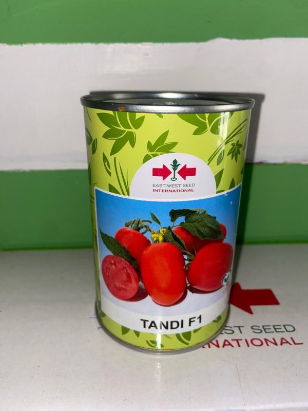IMG-20250410-WA0014 Tomato Tandi F1 (50 Gram Can)