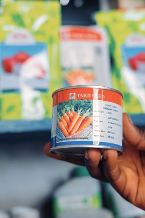 Carrot All Season Chantenay (50 g)