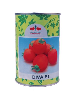 Tomato Diva F1 (50 Gram Pouch)