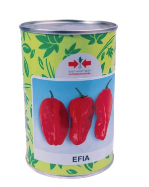 Hot Pepper Efia F1 (50 Gram Can)