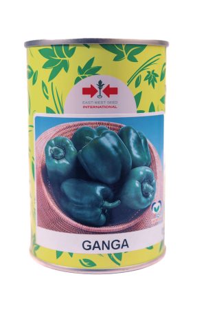 IMG_9489 Sweet Pepper Ganga (100 Gram Can)