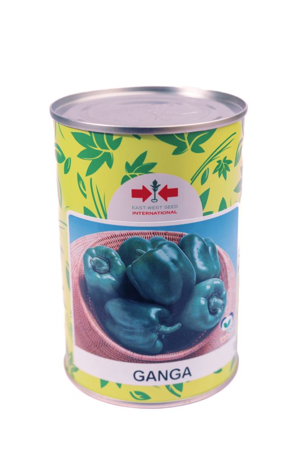 Sweet Pepper Ganga (50 Gram Can)