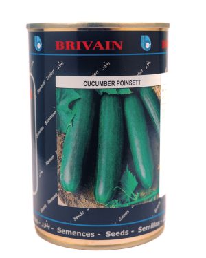 Cucumber Poinsett (GSN) (100 g)