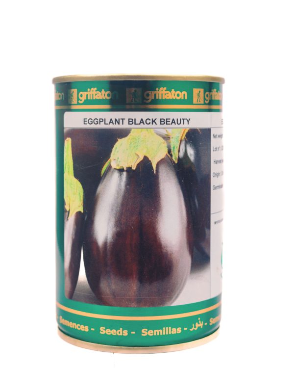 Eggplant Black Beauty (100 g)