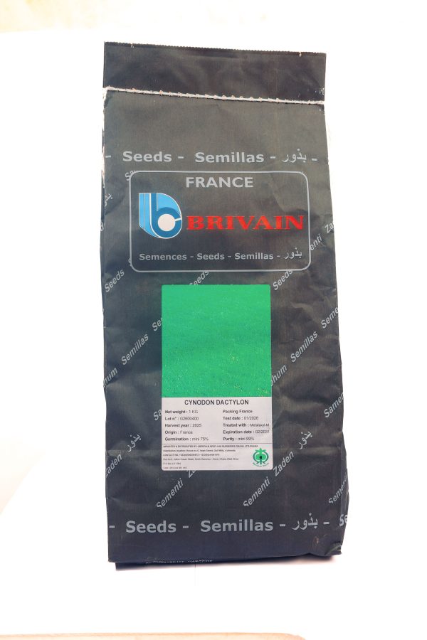 Bermuda Grass (GSN Seeds) (1 kg)