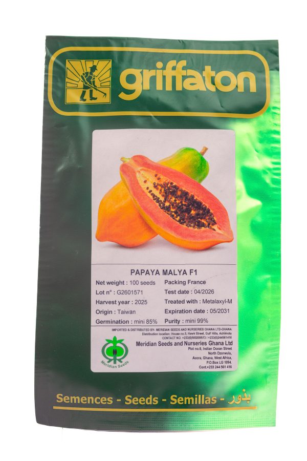 IMG_9621 Papaya Malya F1 (100 Sc)
