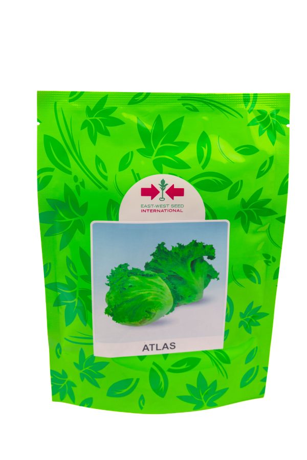 Lettuce Atlas (100 Gram Pouch)
