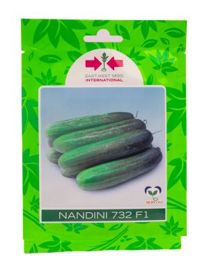 IMG_9667 Cucumber Nandini F1 (10 Seed Pouch)