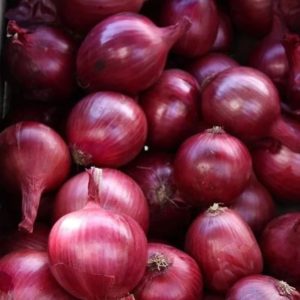 Onion Seed African Eggplant Touba (50 g)