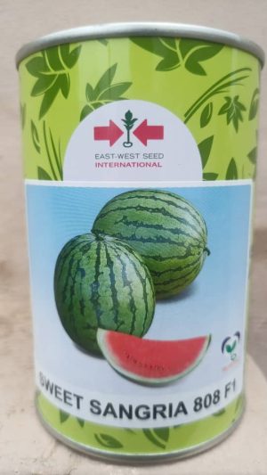 WhatsApp Image 2024-08-26 at 22.36.51_22740f8c Watermelon Sweet Sangria F1 (100 Gram Can)