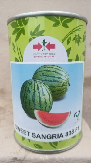 Watermelon Sweet Sangria F1 (50 Gram Can)