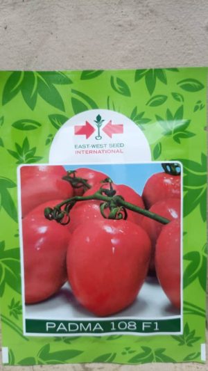 Tomato Padma F1 (10 Gram Pouch)