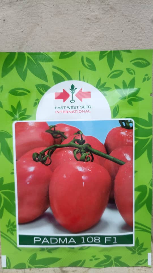 Tomato Padma F1 (10 Gram Pouch)
