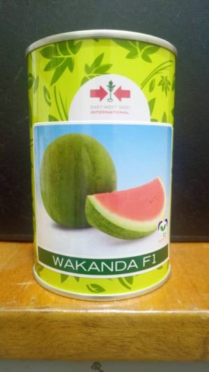 WhatsApp Image 2024-08-26 at 23.44.46_9dd6a6c2 Watermelon Wakanda F1 (100 Gram Can)