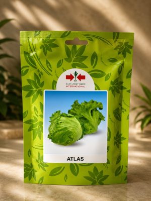 WhatsApp Image 2026-07-23 at 11.41.29 AM Lettuce Atlas (100 Gram Pouch)