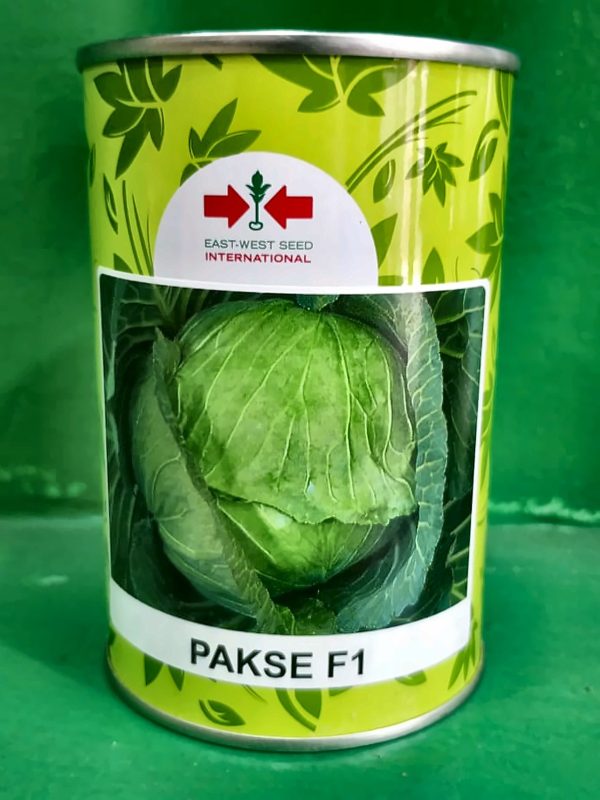 Cabbage Paske F1 - 50g