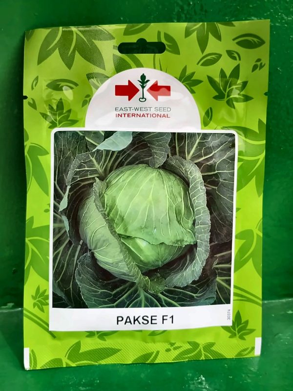 Cabbage Pakse F1 - 10g
