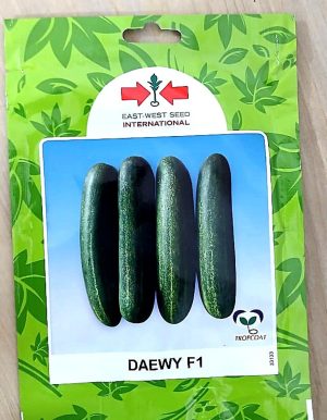 Cucumber Daewy (10 Gram Pouch)