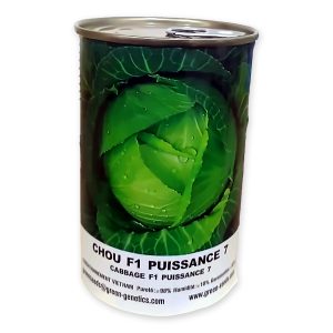 Cabbage-F1 Puissance 7 - 100g