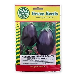 Eggplant Black Beauty - 10g
