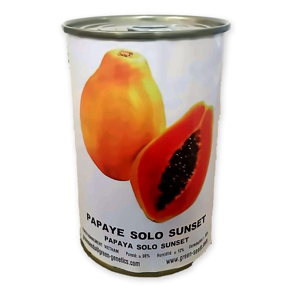 Papaya Solo Sunset - 50g