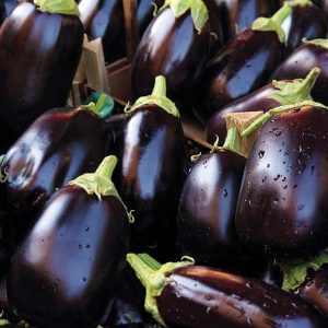 WhatsApp Image 2026-10-13 at 1.51.14 PM Eggplant Bonita F1 - 10g