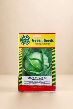 cjn12_cabbage_packet_studio Cabbage-CJN12: F1 Kollo - 10g